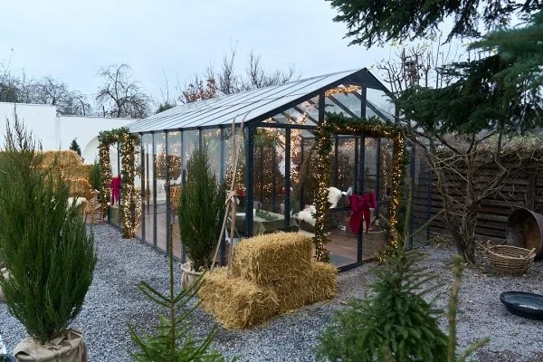 193. New Теплиця. (Басейн – сад) 4