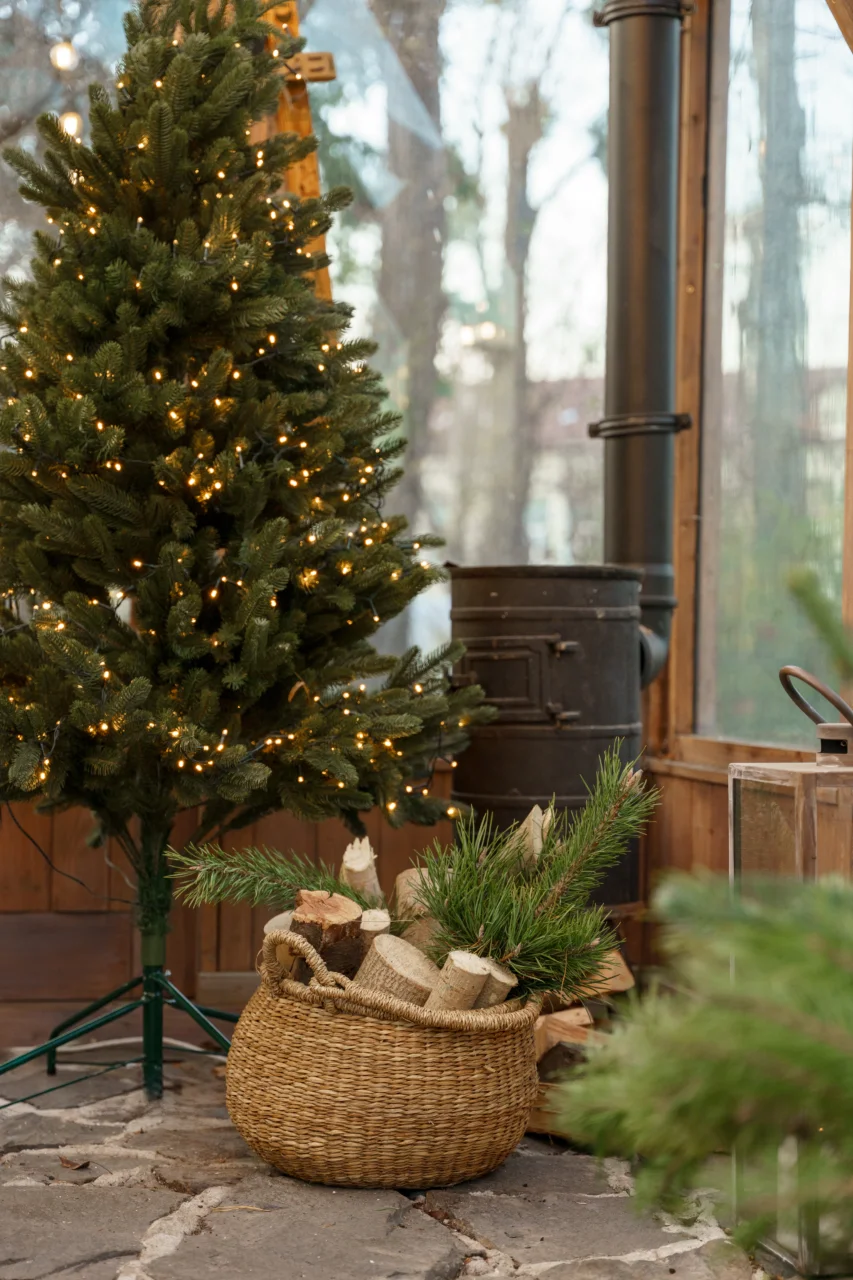 ЛОКАЦІЯ САД 3