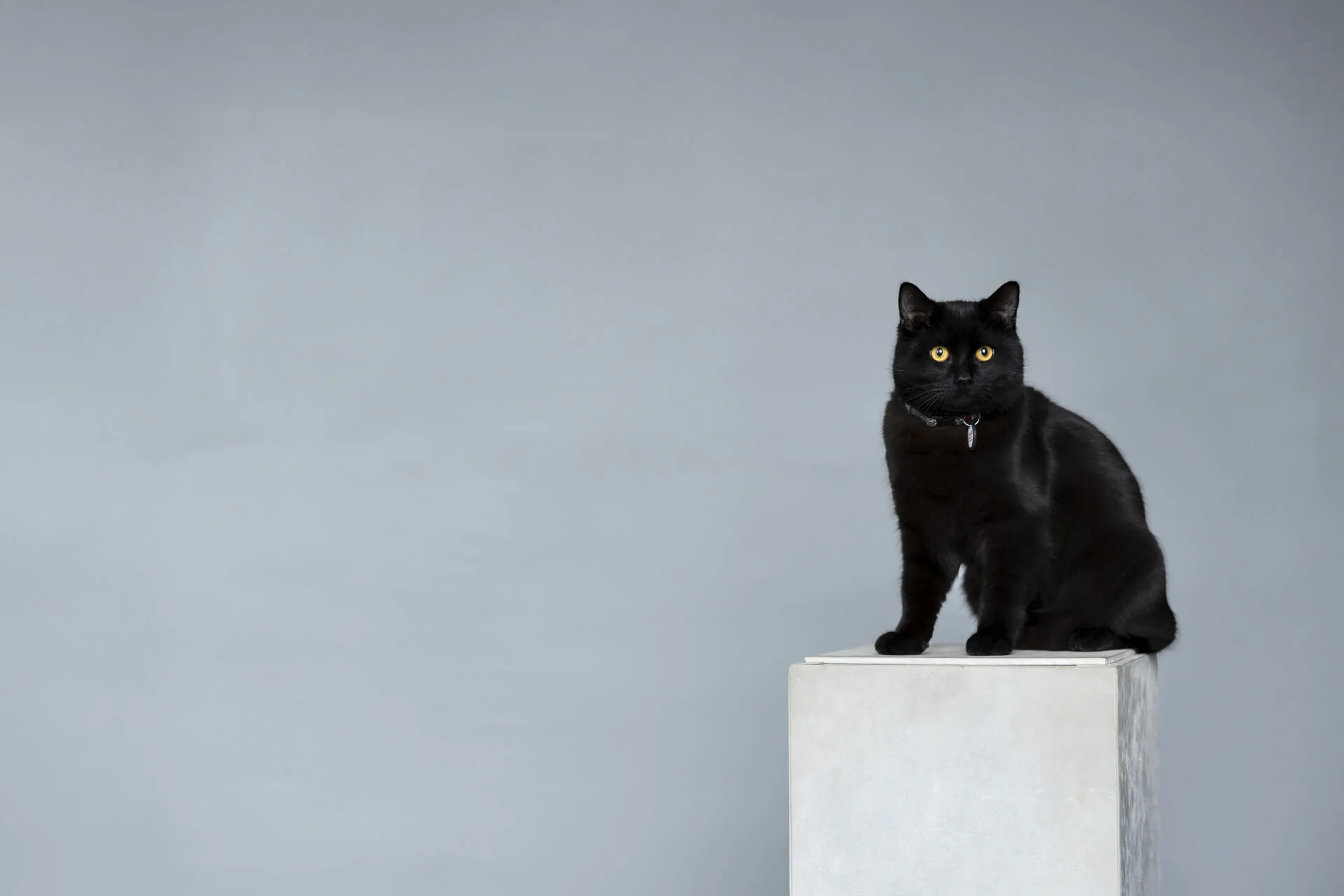 Портретна Зала 3